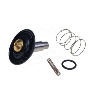 Kit de reparación electroválvula Bürkert 6213 0-10bar DN13 FKM MS DC