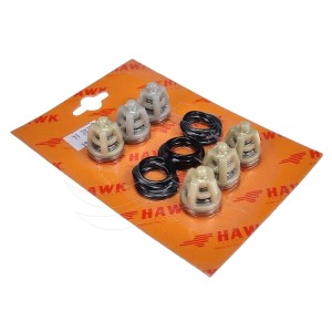 Válvulas bomba Hawk NMT CW (1.905-543.0)