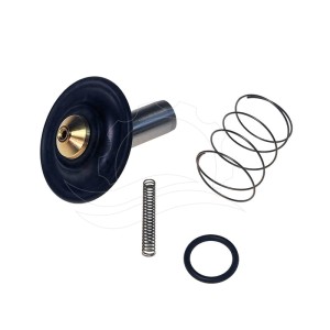 Kit de reparación electroválvula Bürkert 6213 0-10bar DN13 EPDM MS AC