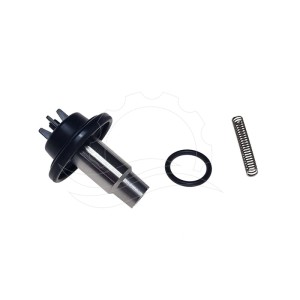 Kit de reparación electroválvula Bürkert 6213 0-10bar DN10 FKM MS DC