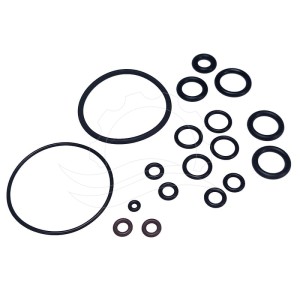 Kit de juntas bomba dosificadora Seko Tekna Evo APG