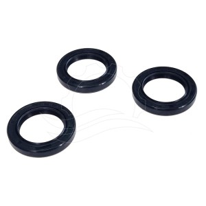 Retenes de aceite bomba Interpump (Kit 2)