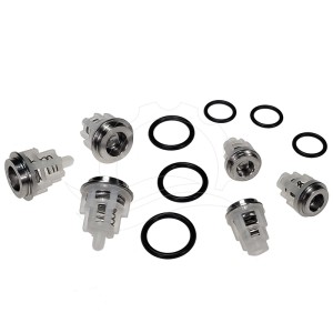 Válvulas bomba Interpump (Kit 269)