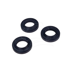 Retenes de aceite bomba Interpump (Kit 271)